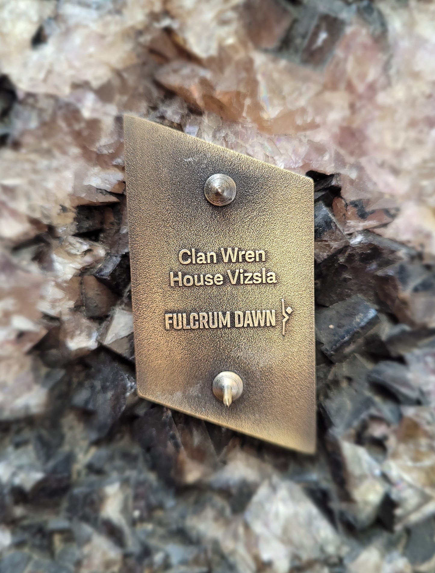 Ursa Wren Pin